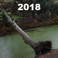 selectie 2018