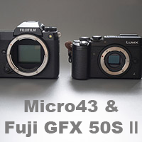 van Aps-C & FF naar Micro 43